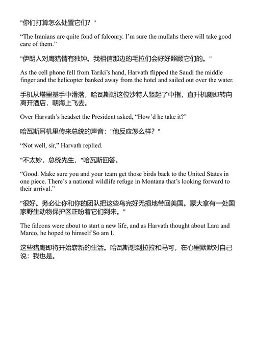 隐藏秩序 番外篇 布拉德·索尔 (中英对照电子书)