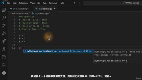Python零基础入门到实战：系统化编程学习之旅 (英文课程中文字幕)