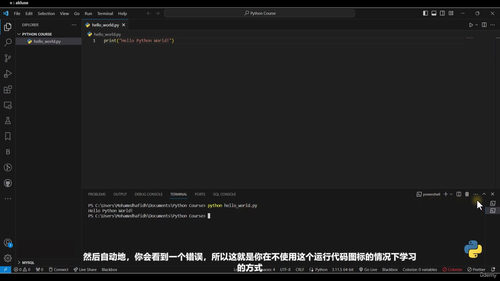 Python零基础入门到实战：系统化编程学习之旅 (英文课程中文字幕)