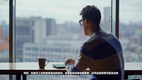 高级风险管理:不确定性决策的艺术与实践 (英文课程中文字幕)