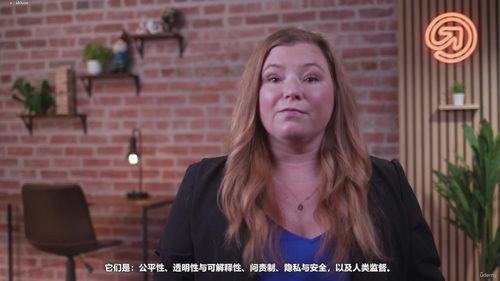 企业AI伦理与合规实战指南 (英文课程中文字幕)