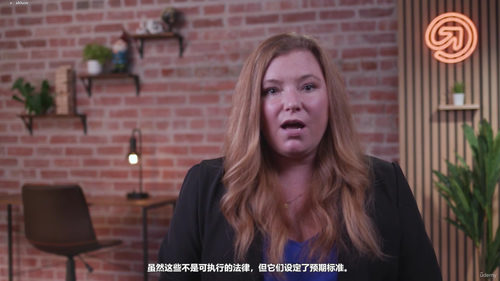 企业AI伦理与合规实战指南 (英文课程中文字幕)