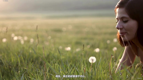 摆脱他人的期待：找回真正的自己 (英文课程中文字幕)