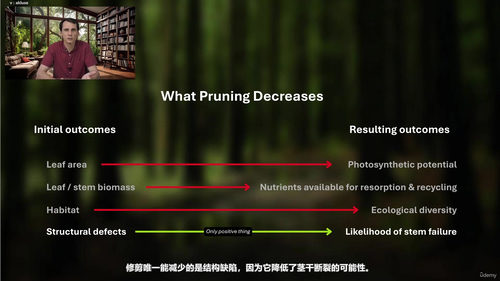 树木修剪：让树木健康生长的艺术与科学 (英文课程中文字幕)