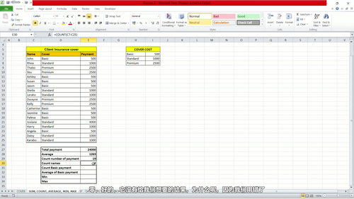 职场实用Excel (英文课程中文字幕)
