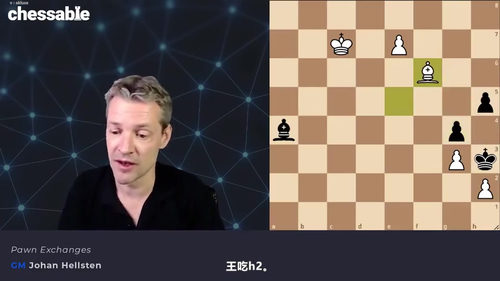 [中文配音]国际象棋残局策略精通教程