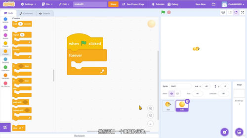 完整Scratch游戏制作课程 - 动手制作5个经典游戏项目 (英文课程中文字幕)