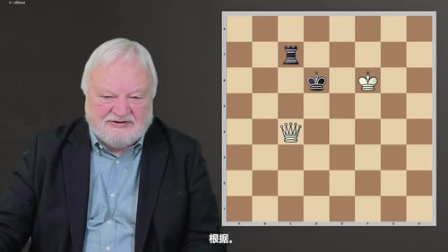 [中文配音]国际象棋基础进阶3：棋艺精进教程