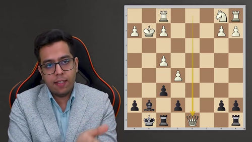 库沙格黑棋布局体系：应对1.c4、1.Nf3及冷门开局 (英文课程中文字幕)