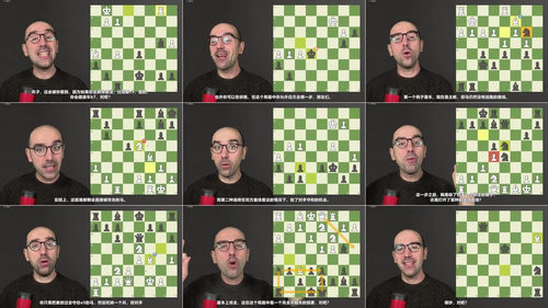 [中文配音]国际象棋防失误技巧课程