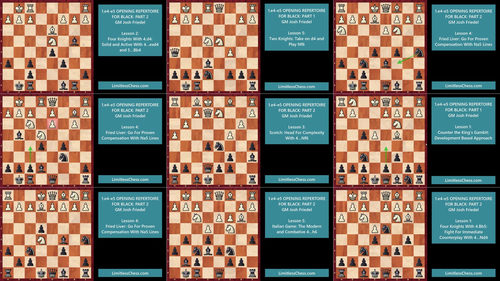 国际象棋开放性开局：黑方应对策略全解 (英文课程中文字幕)
