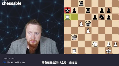 [中文配音]棋坛传奇名局：史上最佳国际象棋走法解析