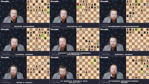 [中文配音]棋坛传奇名局：史上最佳国际象棋走法解析