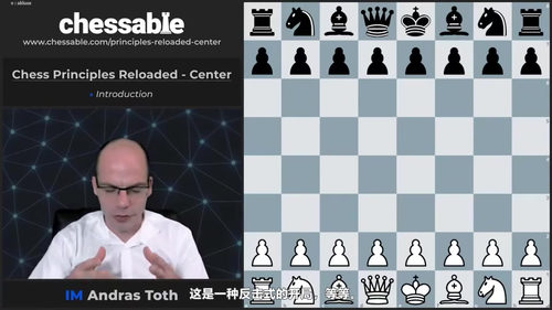 [中文配音]国际象棋原则重置 - 中心