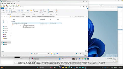 Microsoft Defender for Endpoint 企业安全实战课 (英文课程中文字幕)