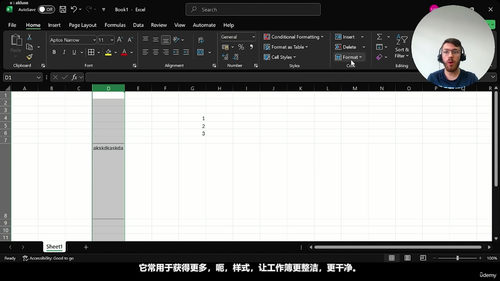 Microsoft Excel从入门到进阶:零基础直达实战高手 (英文课程中文字幕)