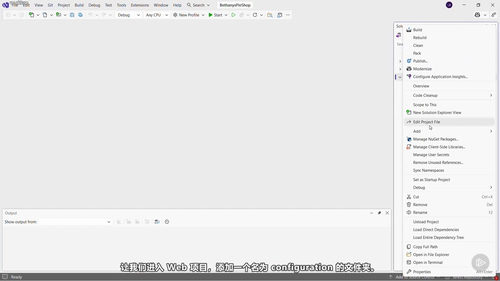 ASP.NET Core配置与选项管理实战 (英文课程中文字幕)