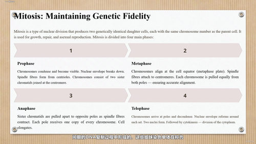 细胞生物学：探索生命的基本单位 (英文课程中文字幕)