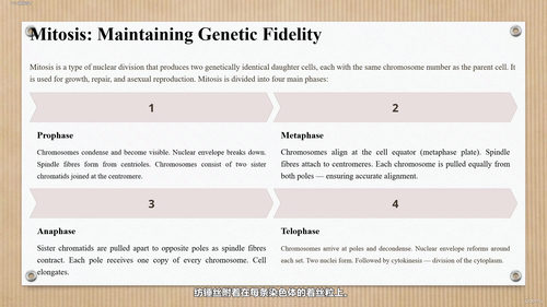 细胞生物学：探索生命的基本单位 (英文课程中文字幕)