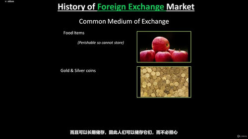 货币衍生品与外汇交易：NISM认证备考攻略 (英文课程中文字幕)