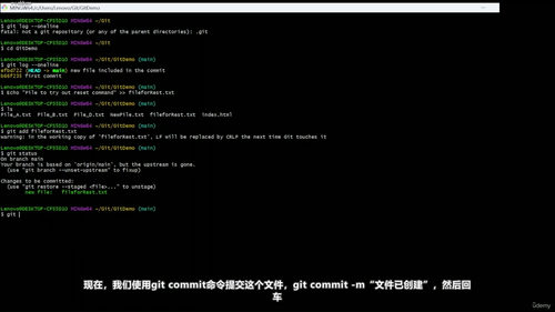 Git与GitHub零基础入门实战 (英文课程中文字幕)