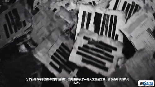 AI伦理与负责任AI (英文课程中文字幕)