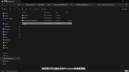 OpenFOAM计算流体动力学入门到进阶 (英文课程中文字幕)