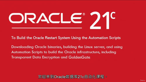 [中字] Oracle Database 21c Grid