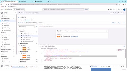 Apigee X API管理实战:架构设计与策略配置指南 (英文课程中文字幕)