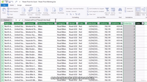 Excel Power Pivot数据建模与分析实战 (英文课程中文字幕)