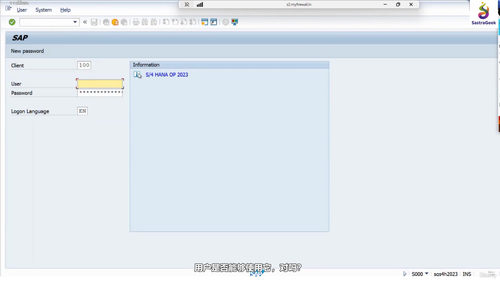 SAP WalkMe与Fiori用户采纳实战 (英文课程中文字幕)