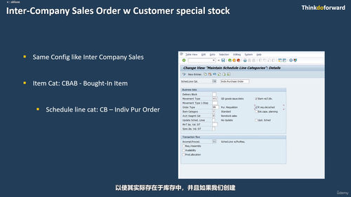 SAP公司间流程全攻略：Fiori环境下的企业间业务协同 (英文课程中文字幕)