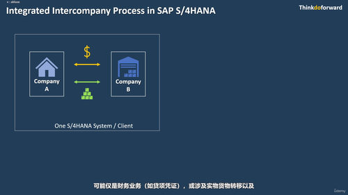 SAP公司间流程全攻略：Fiori环境下的企业间业务协同 (英文课程中文字幕)