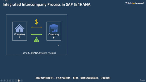 SAP公司间流程全攻略：Fiori环境下的企业间业务协同 (英文课程中文字幕)