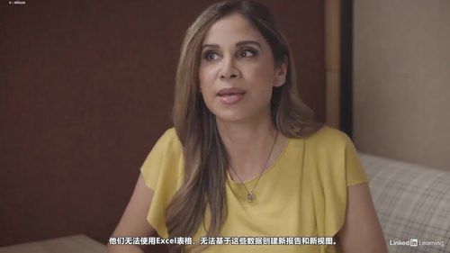 Excel从入门到实战：Microsoft 365完全指南 (英文课程中文字幕)