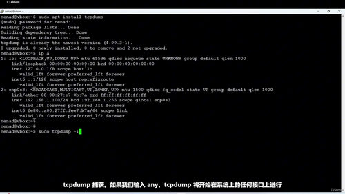 SIP协议分析与故障排除实战课 (英文课程中文字幕)
