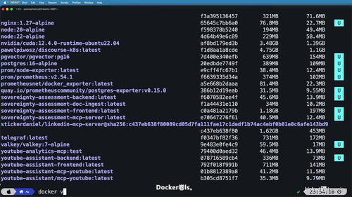 使用Docker构建和部署安全的AI工作负载 (英文课程中文字幕)
