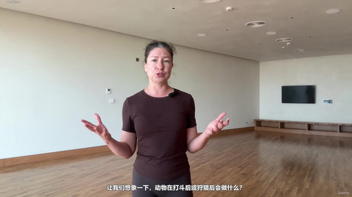 神经系统重置：培养你的内在韧性 (英文课程中文字幕)