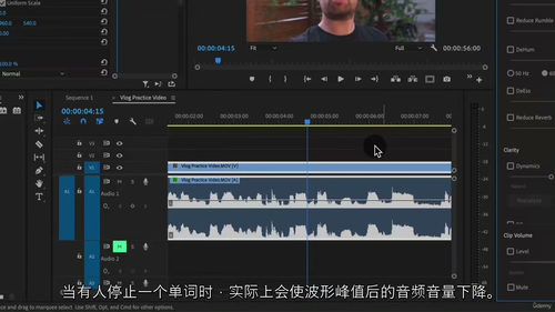 Adobe Premiere Pro 视频编辑大师课(中文字