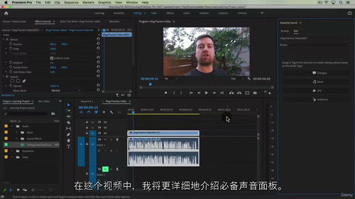 Adobe Premiere Pro 视频编辑大师课(中文字