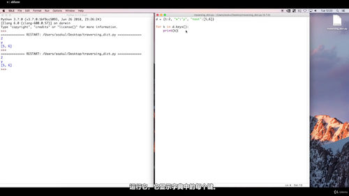 Python入门：用动手项目带你从零基础到真正写代码 (英文课程中文字幕)