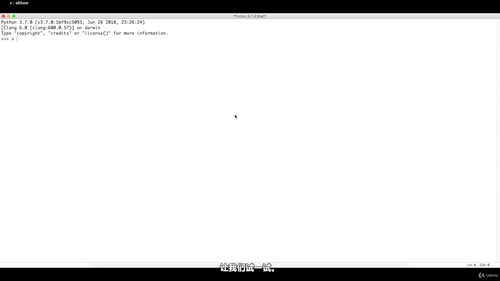 Python入门：用动手项目带你从零基础到真正写代码 (英文课程中文字幕)
