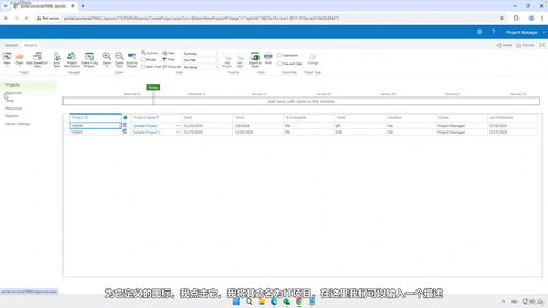 精通Microsoft Project Server管理 (英文课程中文字幕)