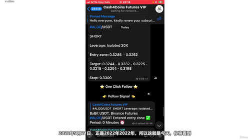 加密货币自动交易机器人实战：用Cornix和信号实现躺赚 (英文课程中文字幕)