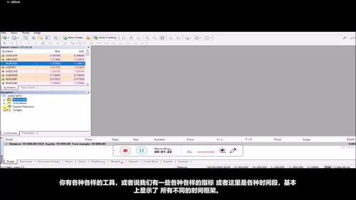 外汇交易入门：从概念到实战的全方位指南 (英文课程中文字幕)