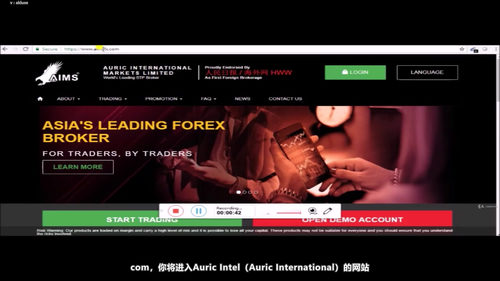 外汇交易入门:从概念到实战的全方位指南 (英文课程中文字幕)