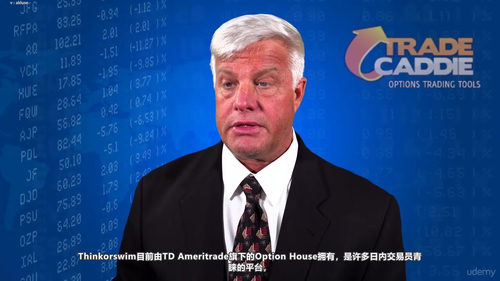 模拟交易入门 (英文课程中文字幕)