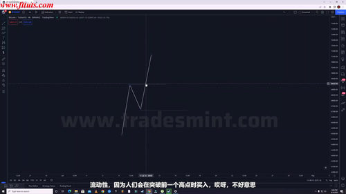 聪明钱交易实战课程 (英文课程中文字幕)