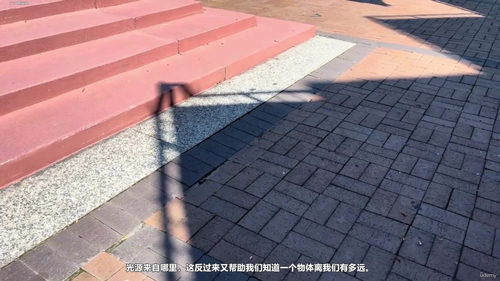 感觉与知觉——大脑如何解读世界 (英文课程中文字幕)
