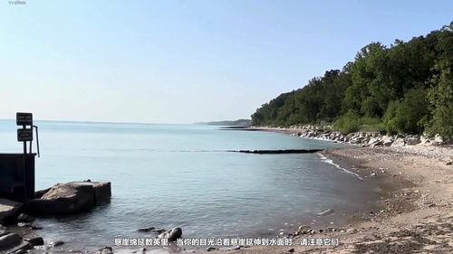 感觉与知觉——大脑如何解读世界 (英文课程中文字幕)